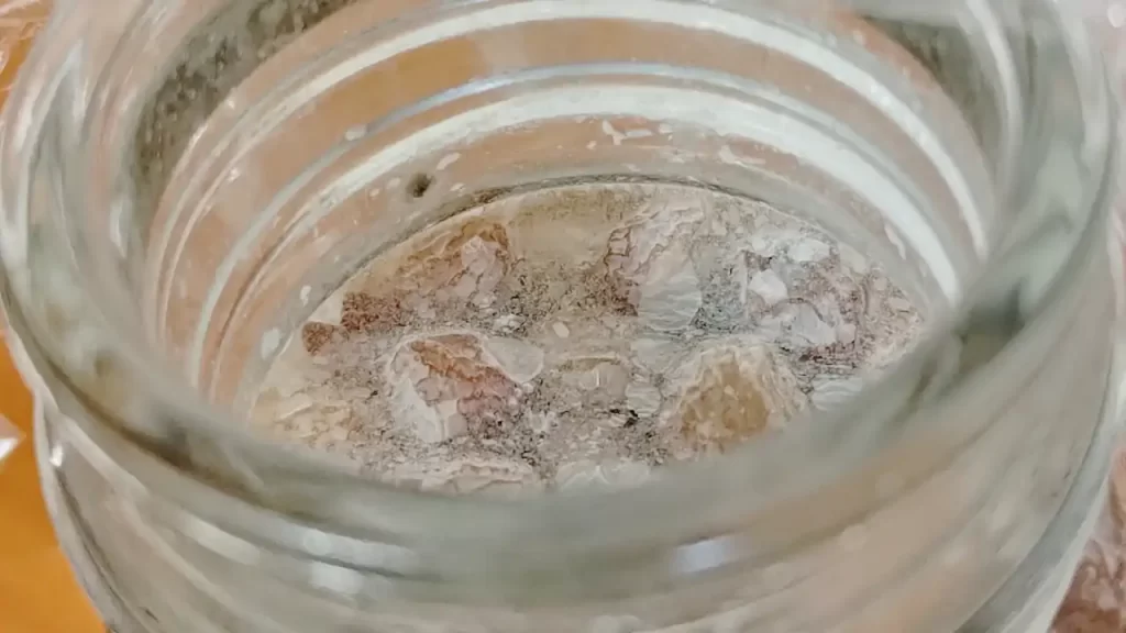 白い膜が登場したレーズン酵母（よく見ると左上の方には黒カビが！）