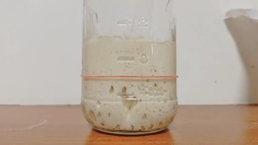 レーズン酵母による元種作りの様子(2日目の発酵完了時)