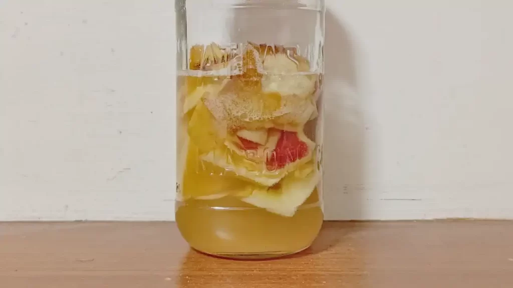リンゴの皮と芯による天然酵母の3日目の様子