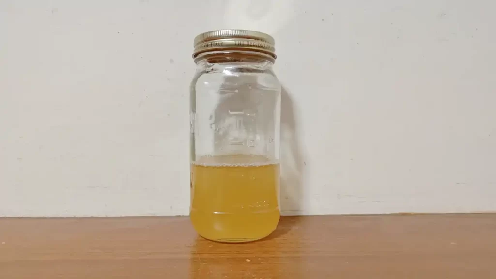 リンゴの皮と芯による天然酵母の完成した酵母液