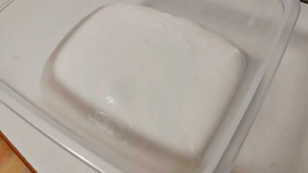 常温で15時間ほど発酵させた後の様子